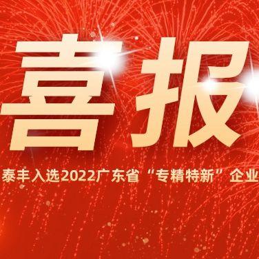 熱烈祝賀泰豐空調(diào)入選2022廣東省“專(zhuān)精特新”企業(yè)！